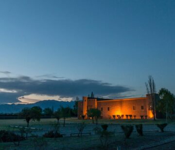 BODEGA SOTTANO: “El proceso de implementación fue perfecto”